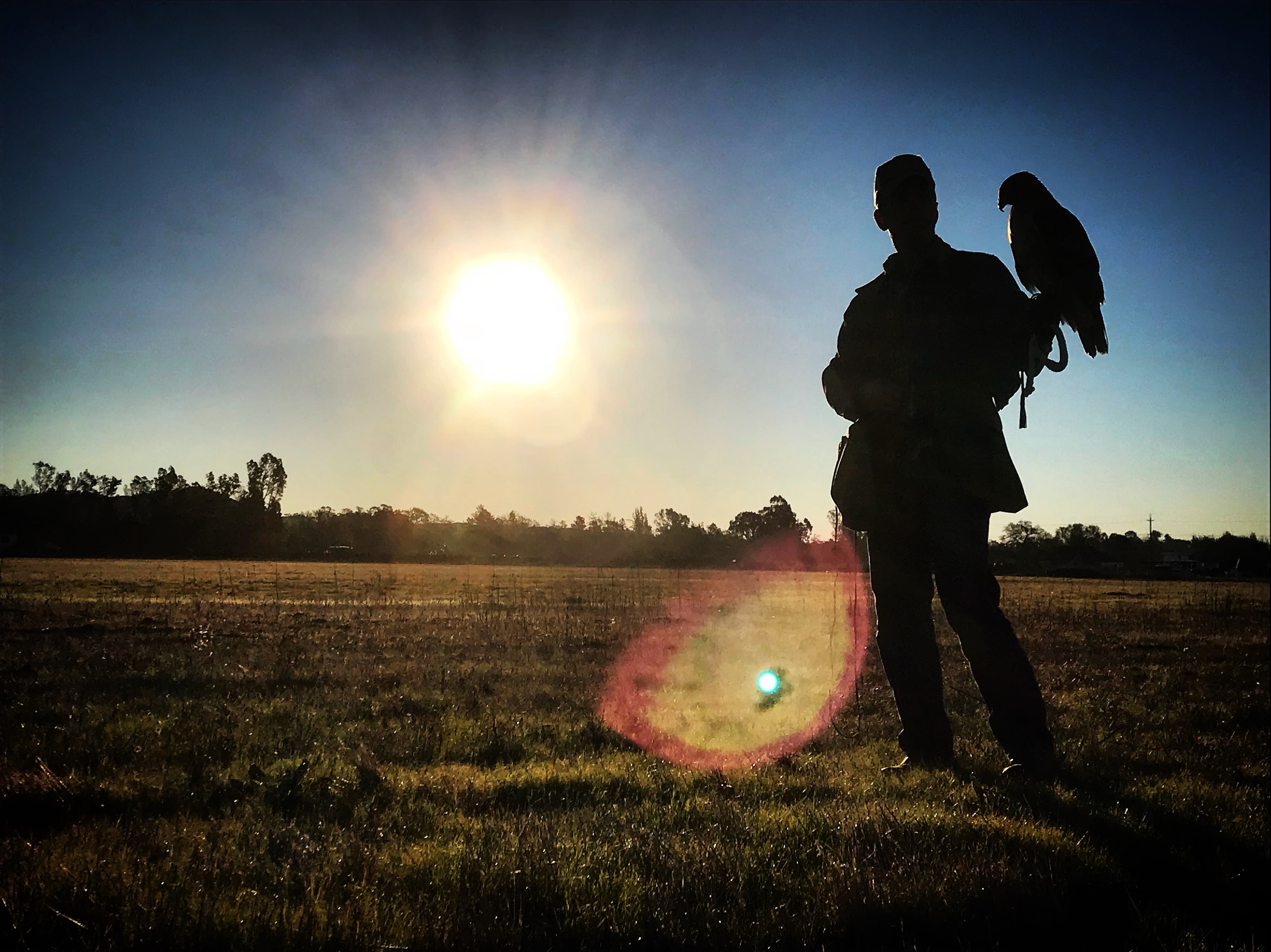Chris with falcon at dusk
